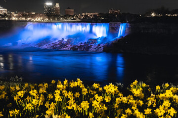Niagara Falls waterfall view from Ontario