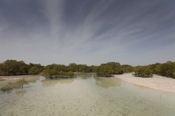 Jubail Island in Abu Dhabi.