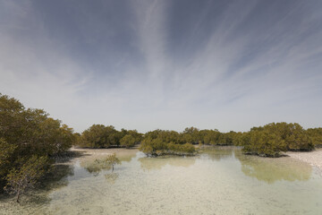 Jubail Island in Abu Dhabi.