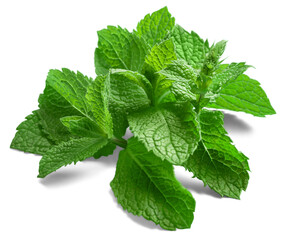 Mint leaf. Fresh mint on background. Mint leaf. Full depth of field. © BillionPhotos.com