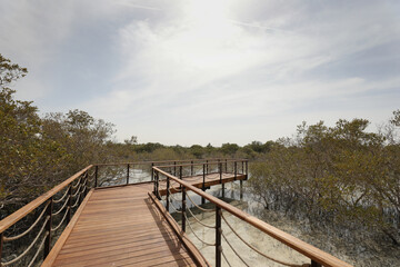 Jubail Island in Abu Dhabi.