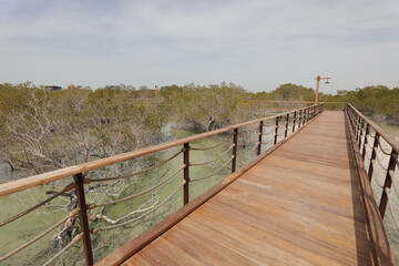 Obraz premium Jubail Island in Abu Dhabi.