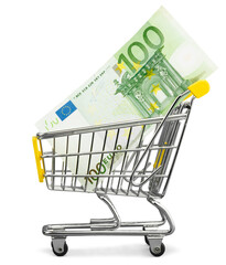 Mini shopping cart wiht euro banknote