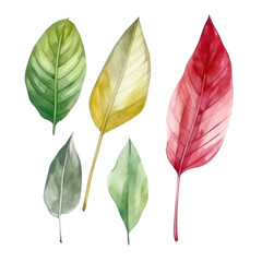 leaves watercolor isolated on transparent background cutout
