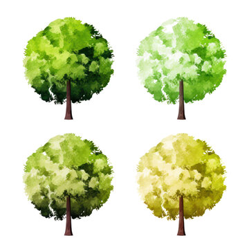 set of four trees watercolor isolated on transparent background cutout