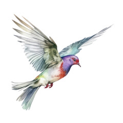 hummingbird and flower watercolor isolated on transparent background cutout