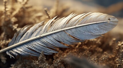 A bird's feather caught on a bush with detailed texture