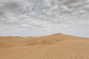 Fototapeta na wymiar A windy day in the desert.