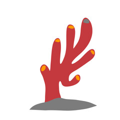 Coral Plants With Sea Stone Habitat