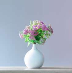 pink spirea in white vase on wooden shelf