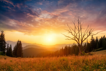 Fototapeta na wymiar Tranquil sunset over mountain meadow and tree