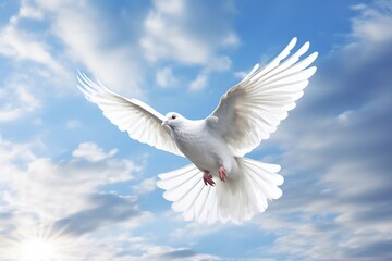 Fototapeta na wymiar Serenity in Flight White and Blue Decorative Peace Dove Soaring Gracefully. AI
