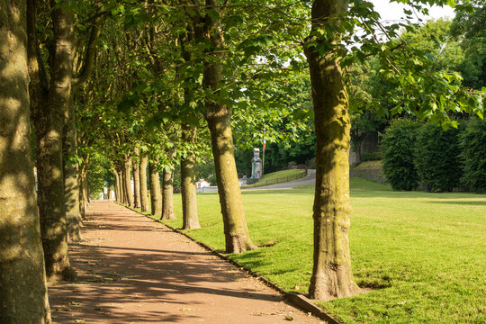 All&eacute;e bord&eacute;e de platane en contrebas des remparts de la Haute Ville de Boulogne-sur-Mer