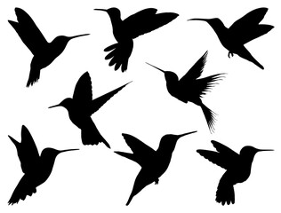 Obraz na płótnie Canvas Set of Hummingbird Silhouette