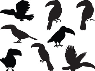 Set of Toucan Silhouette
