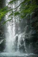 箕面の滝の水しぶき