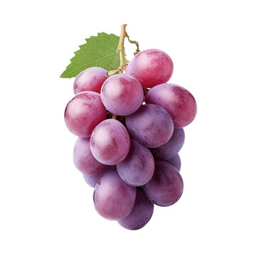Fresh grape on transparent background Generative AI
