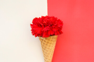 Ice cream cone and red carnation on red and white background