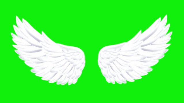 Real Angel wings green screen pack of three video , flying wings green screen , feather angel wings , white angel wings, angel green screen ,green screen background Video Formats