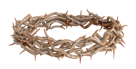 Crown of thorns on transparency background. Png transparency