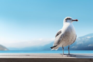 Fototapeta na wymiar Seagull bird mockup. Generate Ai