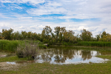Étang de Scamandre, réserve de biodiversité au cœur de la Petite Camargue gardoise