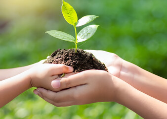 hand children holding young plant with sunlight on green nature background. concept eco earth day. AI Generative