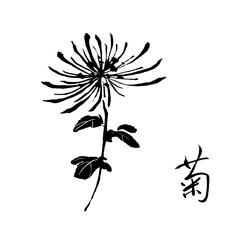 菊の手描きの墨絵水墨画タトゥー筆文字