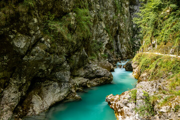 Fototapeta na wymiar Wonderful landscape of turquoise Soca river, Slovenia, passing through amazing, steep, rocky canyon of slovenian Alps, covered in dense vegetation