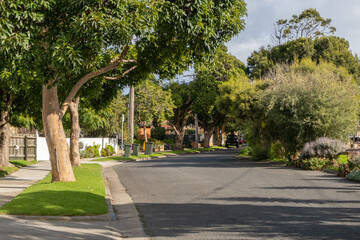 Background texture of a suburban street with beautiful trees and well maintained asphalt road in an Australian neighbourhood. Copy space for your design. Altona, Melbourne VIC Australia.