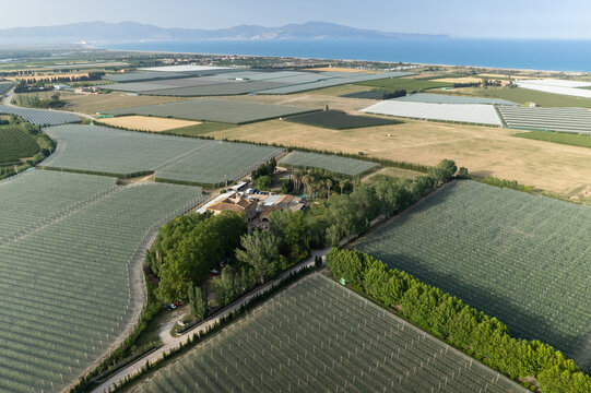 Vista aerea de invernadores con manzanas