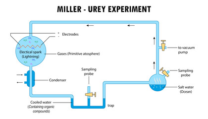 Diagram of Miller-urey experiment, lab test