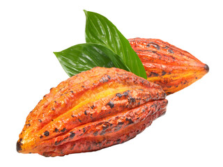 Fresh Cacao Fruit with Leaves on Transparent PNG Background