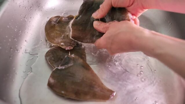woman's hands wash fresh flounder, flatfish in the sink in the kitchen. Housewife cooks fish. preparation for cooking. Healthy eating concept. Soft focus. Selective focus. High quality 4k footage
