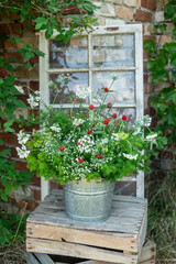 Frische Blumen in einem Metalleimer, Landhaus Dekoration im Garten, natürliche Deko mit...