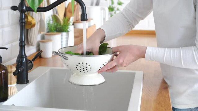 Woman hands washing arugula leaves in colander. High quality 4k footage