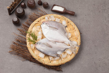 
A saltwater fish of the Byeongguidae family. A flat, round fish with a body length of 60 cm and a height of 45 cm.