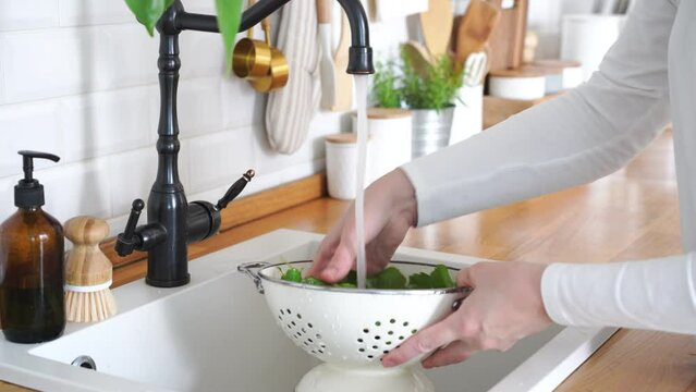 Woman hands washing arugula leaves in colander. High quality 4k footage