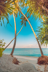 Palm trees on sandy island close to ocean. Beautiful bright sunset on tropical paradise beach, relaxing coastal landscape. Exotic scene, closeup sea waves. Evening colorful sky, peaceful seascape