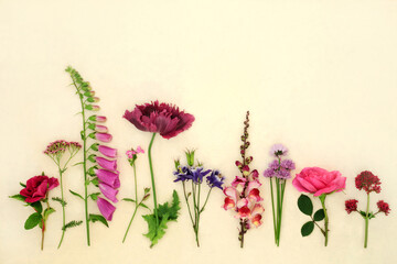 English summer flowers and herbs used in natural alternative herbal medicine. Floral arrangement on hemp paper background. Flora nature decoration.