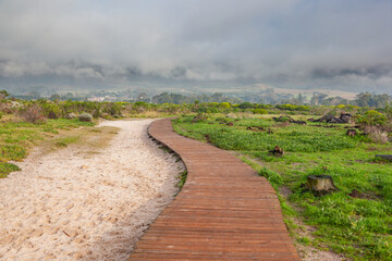 A walkway through Tokai forest, offers w onderful hiking experience through the southern suburbs of Cape Town.
