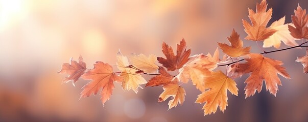 Fototapeta premium Abstract Background with Autumn Leaves in Rich Orange Generative AI illustrations