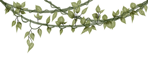 liana watercolor painting