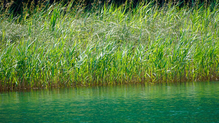 scenic gree nlandscape in krka
