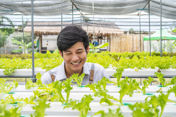 New generation of asian young men smiling with quality of organic vegetable business exploring the...