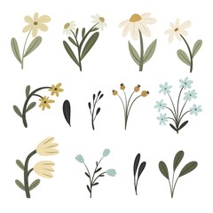 Set of cartoon flowers. Colourful illustration, hand drawing. design for greeting cards, print, poster