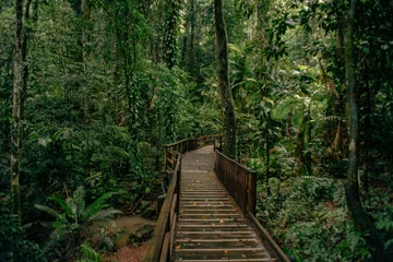 Photo sur Plexiglas Route en forêt wooden bridge in the forest