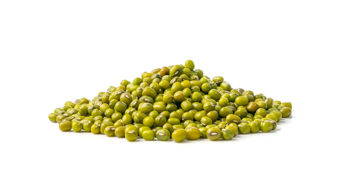 Dry Raw Mung Beans, Vigna Radiata Seeds, Green Gram, Maash or Moong