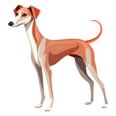Obraz premium Whimsical Wonder: Whimsical 2D Illustration of a Cute Azawakh