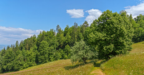 landscape with trees and sky, view from Hemmaberg mountain, carinthia, austria